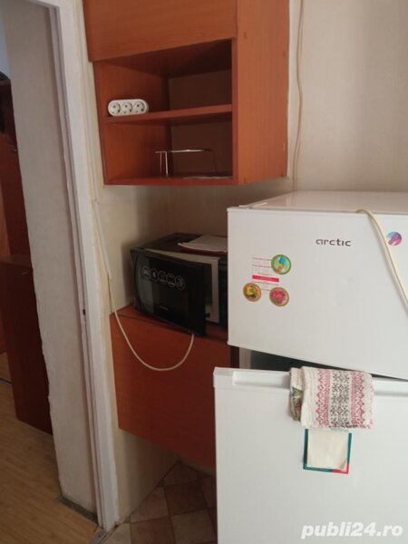 Salajan, Plt. Petre Ionescu.